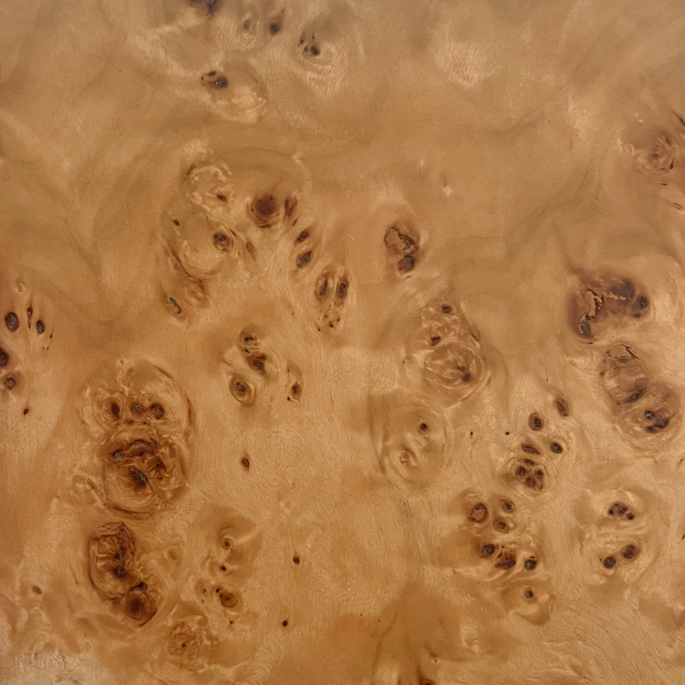 Honey Burl