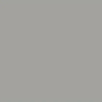 Iron Grey