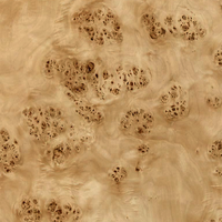 Mappa Burl