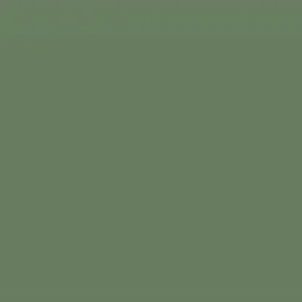 Palm Leaf