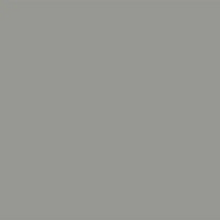 Silver Tone