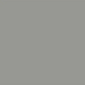 Silver Tone